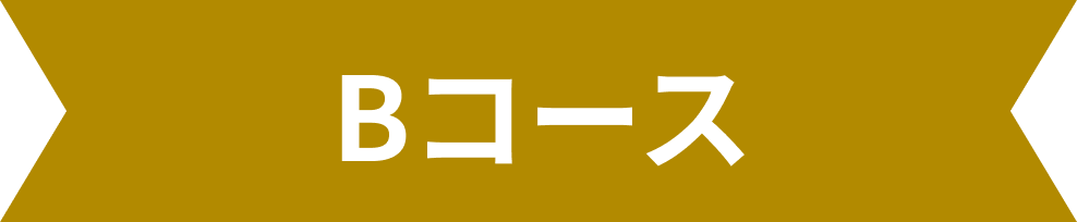 Bコース