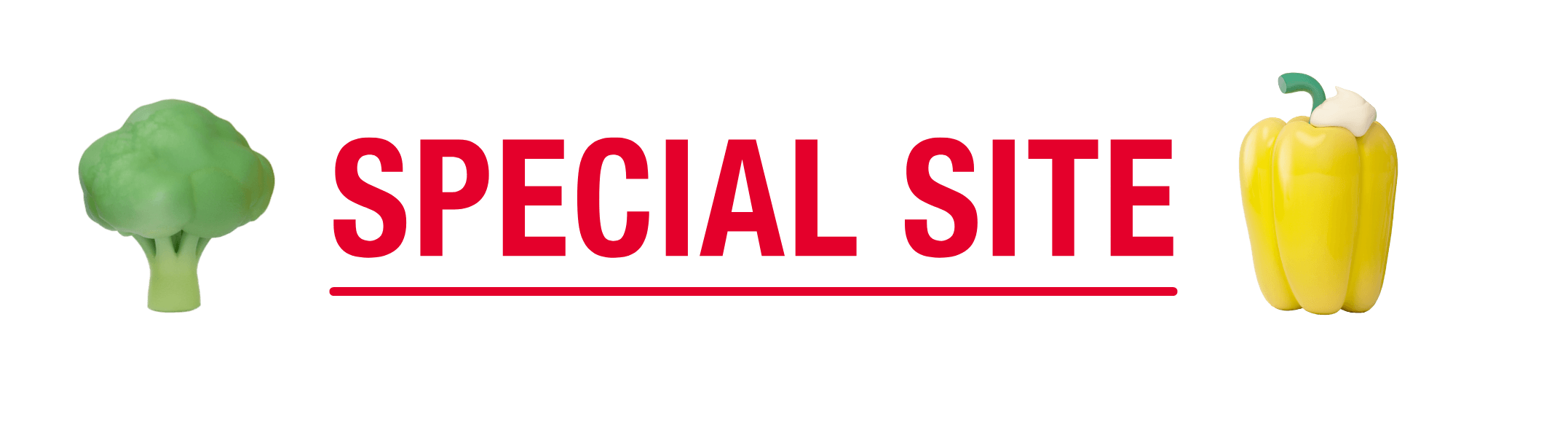 SPECIAL SITE