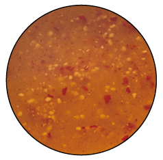 オイルソース（ガーリック＆赤とうがらし）