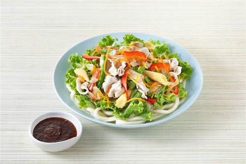 豚しゃぶと彩り野菜のサラダうどん