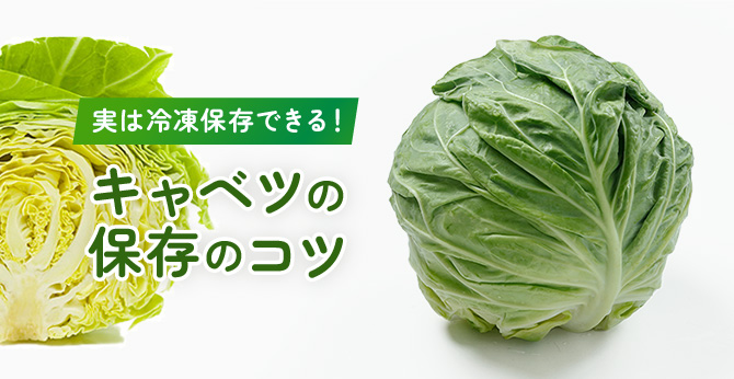 実は冷凍できる！キャベツの保存のコツ