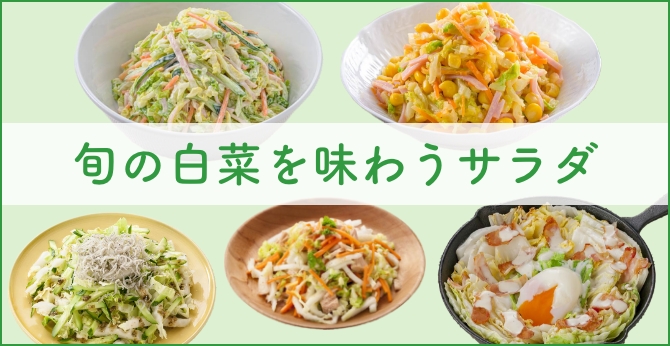 旬の白菜を味わうサラダ