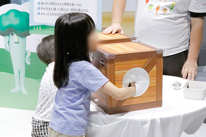 カードコレクションチャレンジ