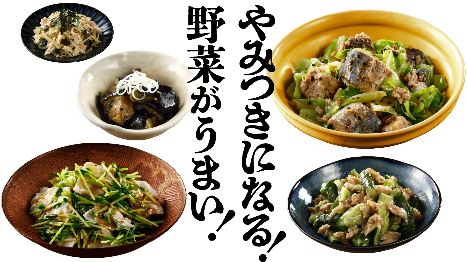 やみつきになる！野菜がうまい！