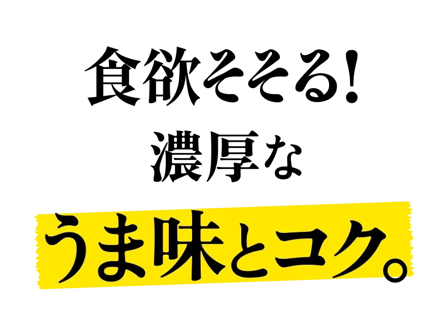 食欲そそる！濃厚なうま味とコク。